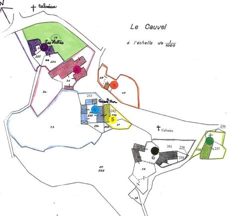 Plan du hameau de Cauvel avec l'emplacement des sept maisons numérotées