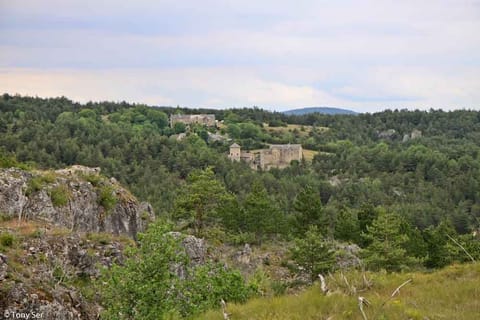 Vue sur le causse et les Gorges du Tarn