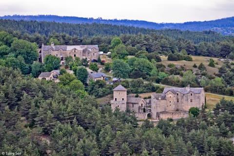 Vue du hameau de Cauvel au milieu des pins du causse